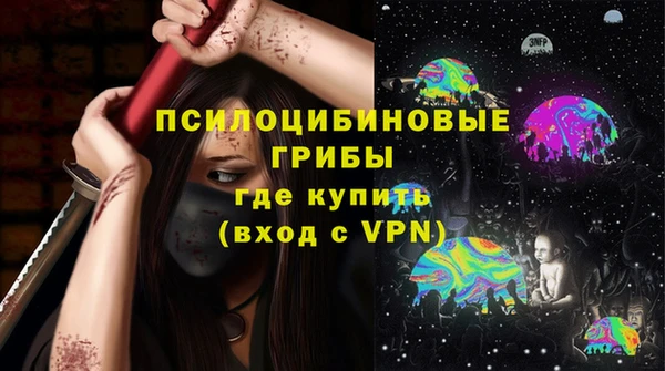 твердый Богородск