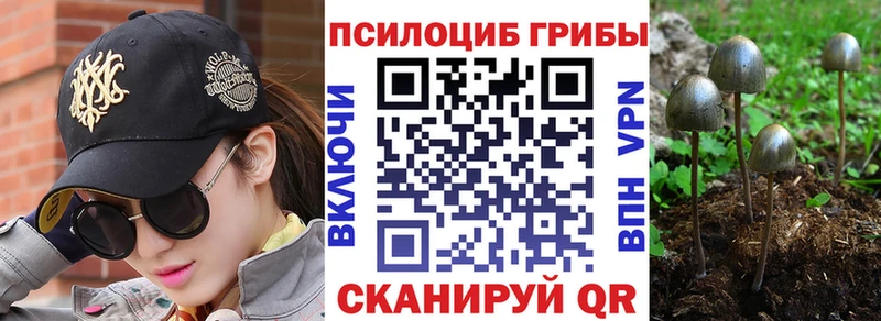 Галлюциногенные грибы ЛСД  MEGA ссылка  Боровичи 