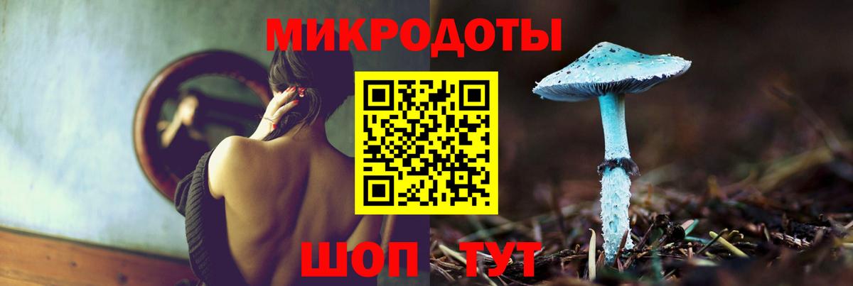 Галлюциногенные грибы Psilocybine cubensis Боровичи